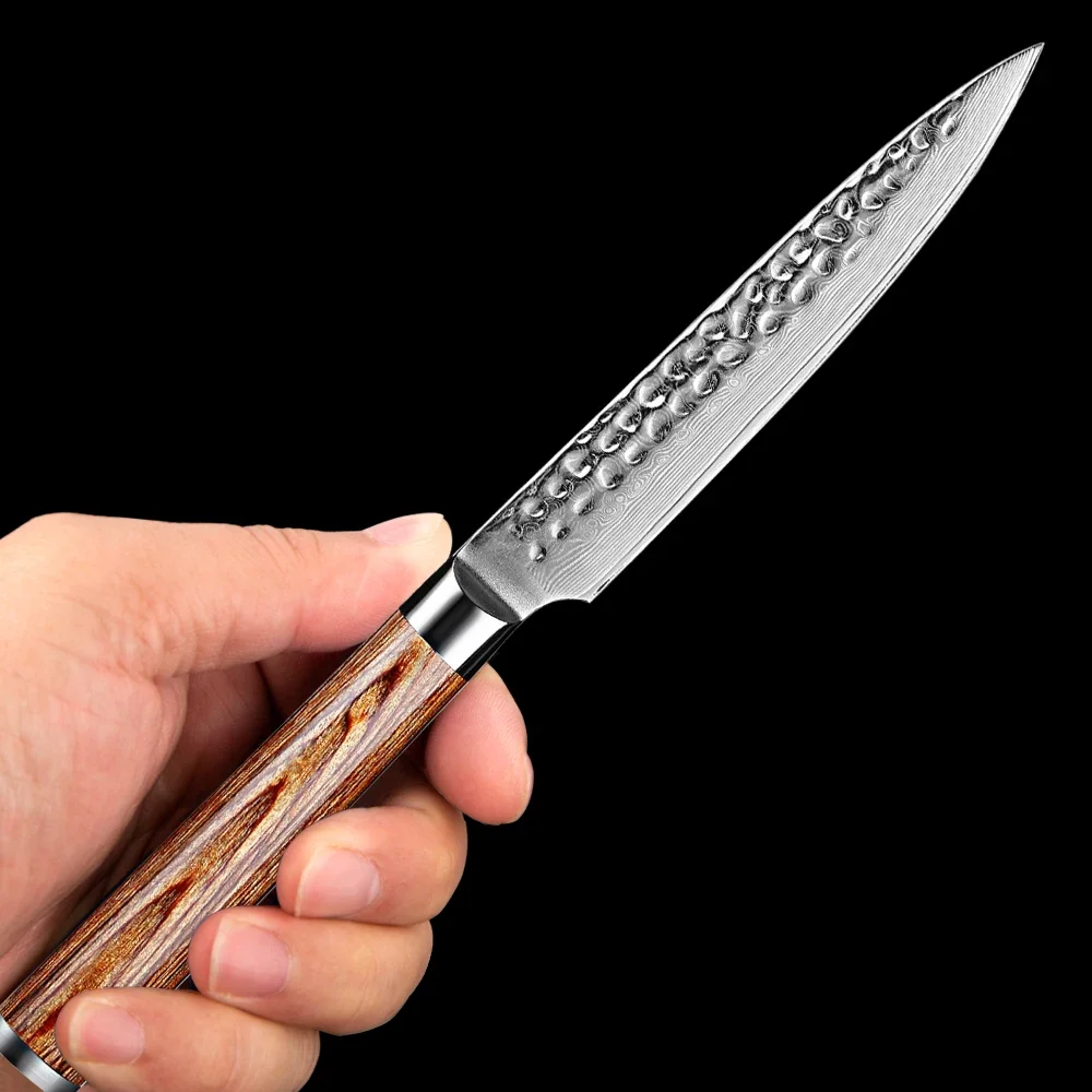 Japanese Damascus Utility Knife 5 Inch Kitchen Chef Utility Knives Ultra Sharp Paring Knife Damascus Stainless Steel Fruit Knife