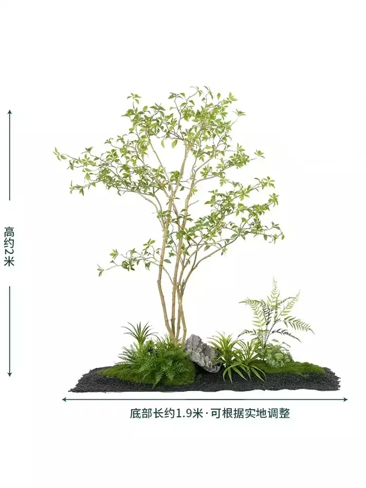 

Simulation landscaping decorative tree of Pieris equisetifolia