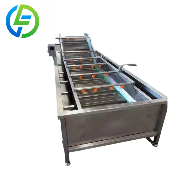 Customized Leafy Equipment Vegetable and Air Drying Line Apple Potato Tomato Bubble Cleaning Machine