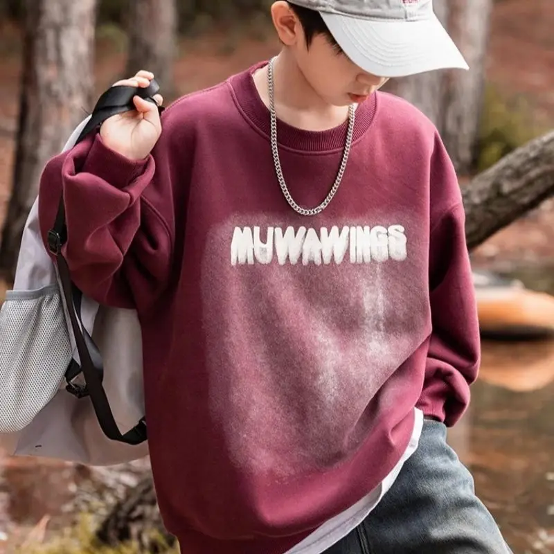 Boys' Medium-Large 2025 New Spring/Autumn No Hood Crewneck Long Sleeve Sassy Korean Style Layering Top Sweatshirt
