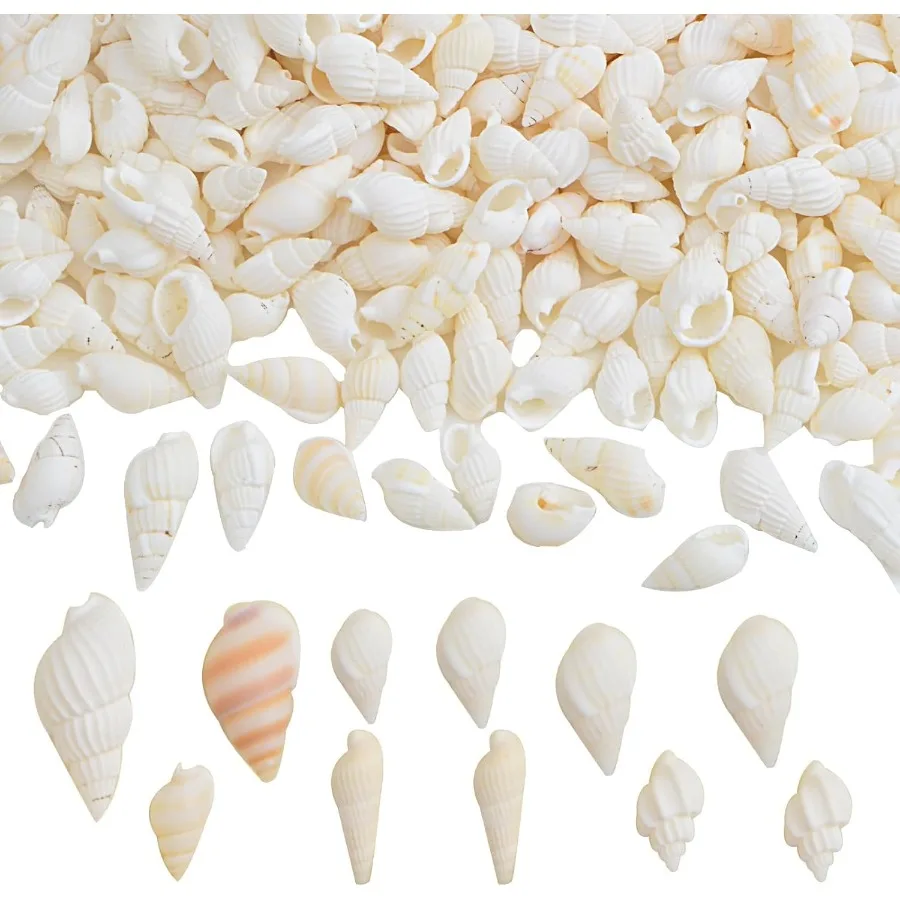 

Approx 700pcs Small White Clam Cay Seashells tural Tiny Sea Shell Mini Spiral Coh Shells Crafts Charm Accessories for Fish Tank