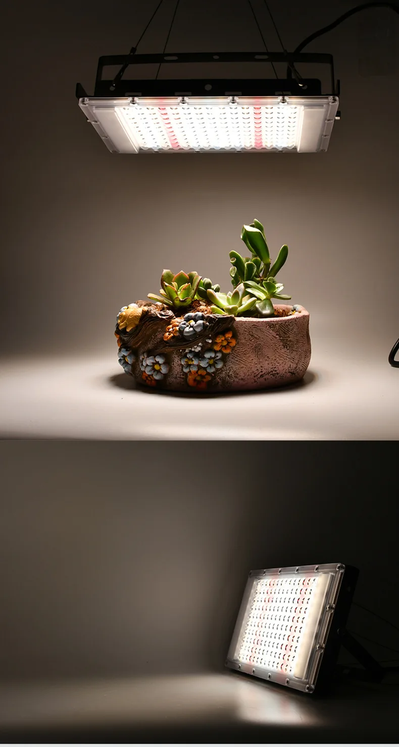 Volledig Spectrum 380-840nm Zonlicht Groei Licht Geleid Ip65 50W 100W 300W Plant Kweeklicht Met Eu Plug Voor Binnenkas