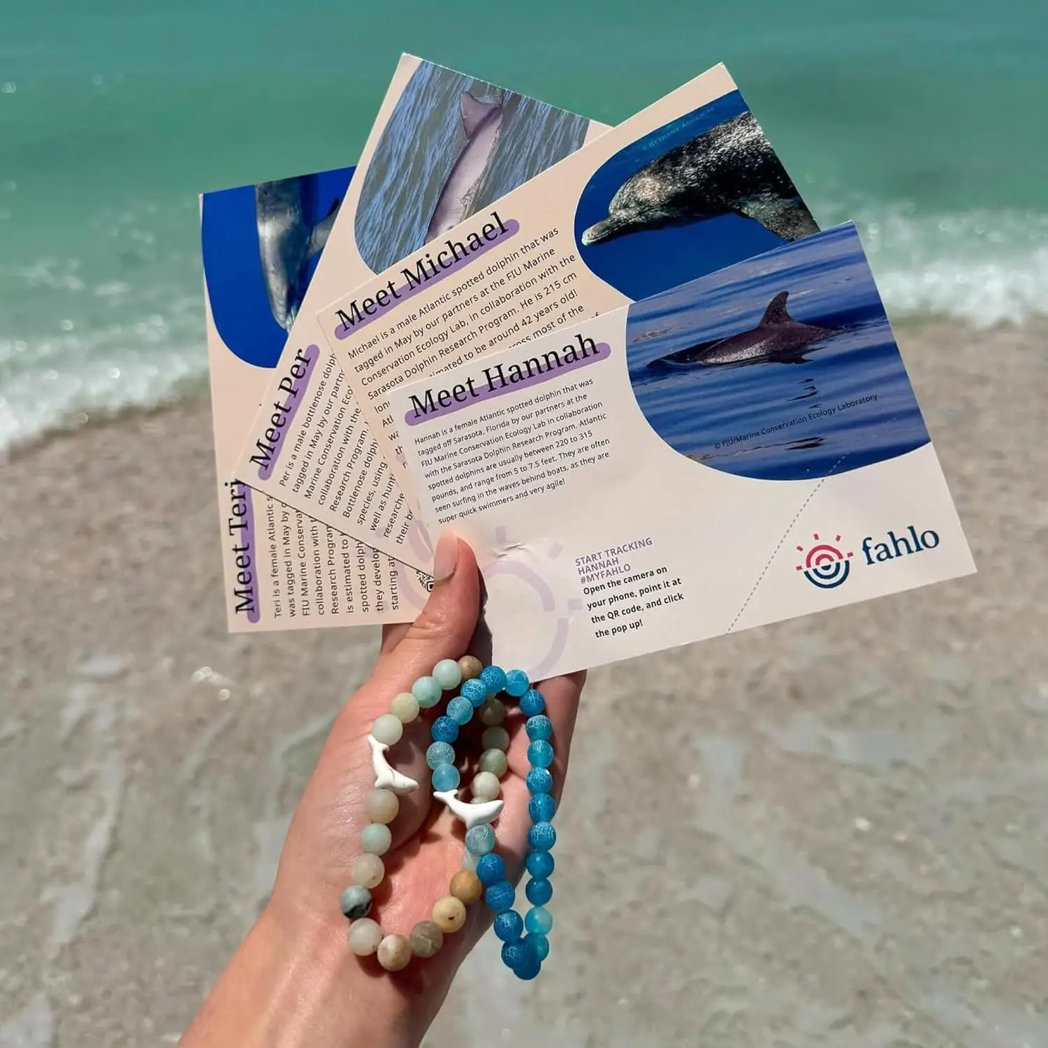 Fahlo Dolphin Tracking Bracelet, Elastic, Supports FIU Marine Conservation, One Size Fits Most for Men and Women