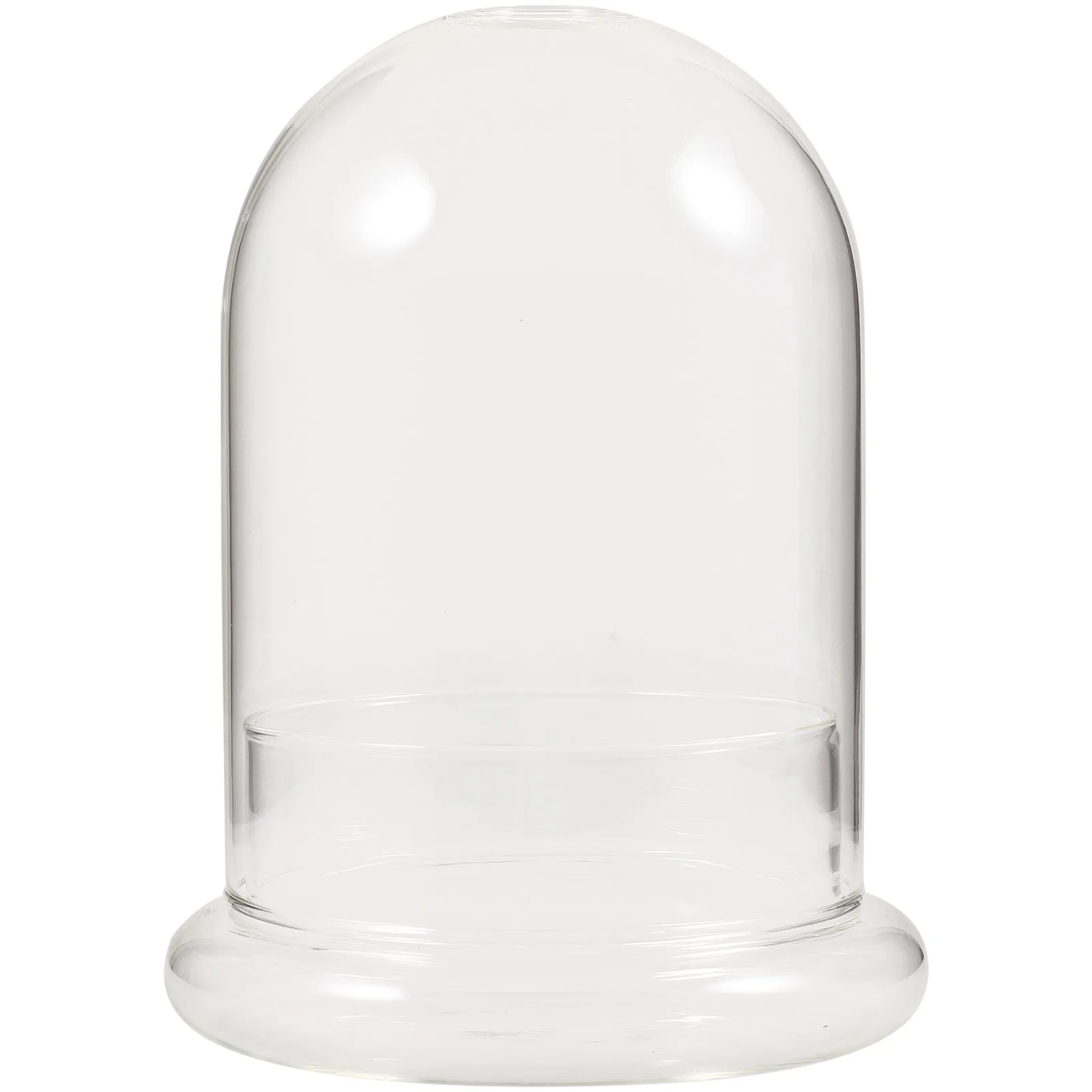 

Moss Eco Bottle Desktop Glass Planter Vase Holder Leaves Greenery Artificial Round