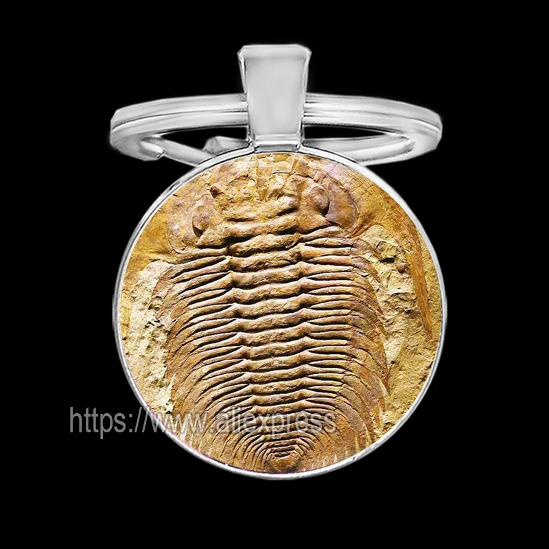 Biological Fossils Keychains for Men Plant Dinosaur Fish Tortoise Key Holder for Keys Cool Keychain for Boy