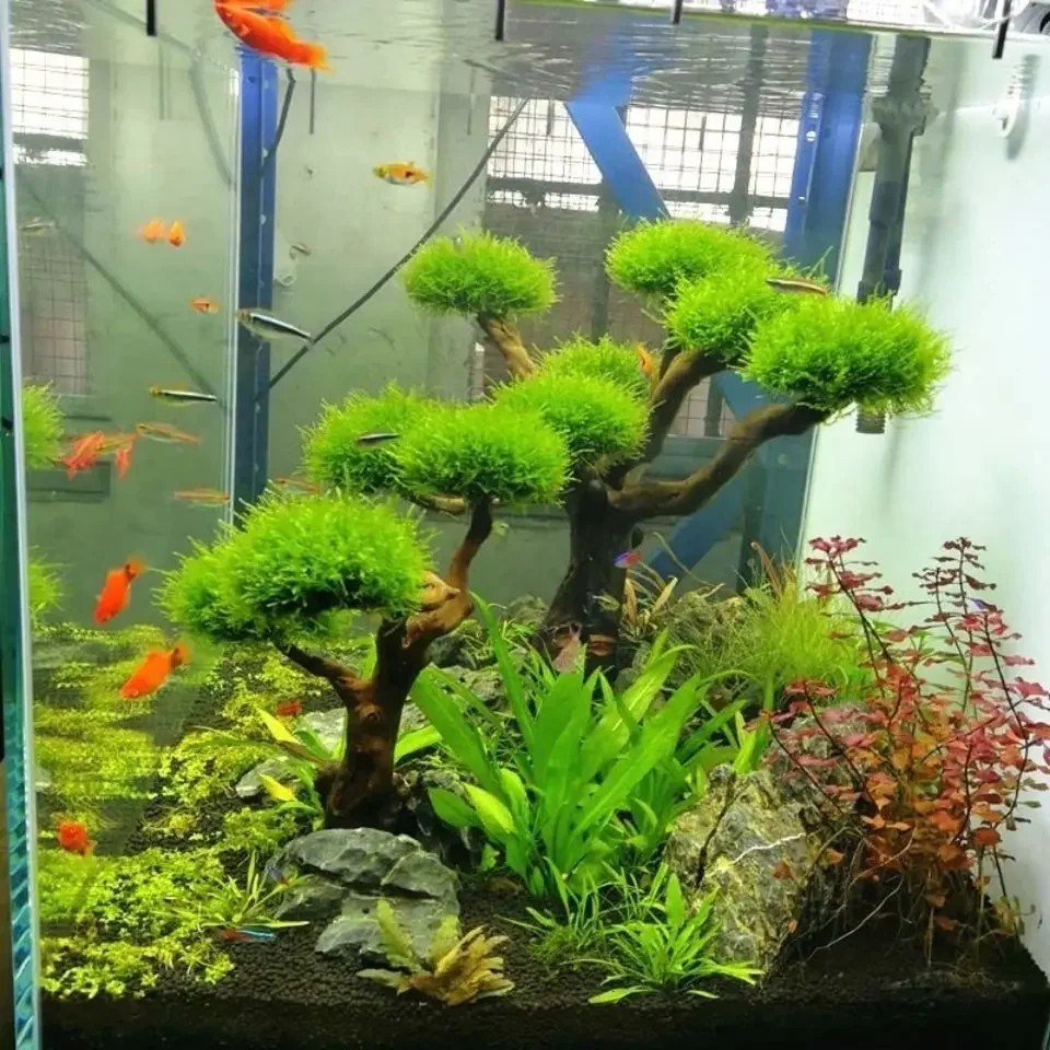 Akwarium Driftwood Dekoracja krajobrazu Akwarium Drewno DIY Ozdoba Diy Fish Tank Craft Decor — zdjęcie 5