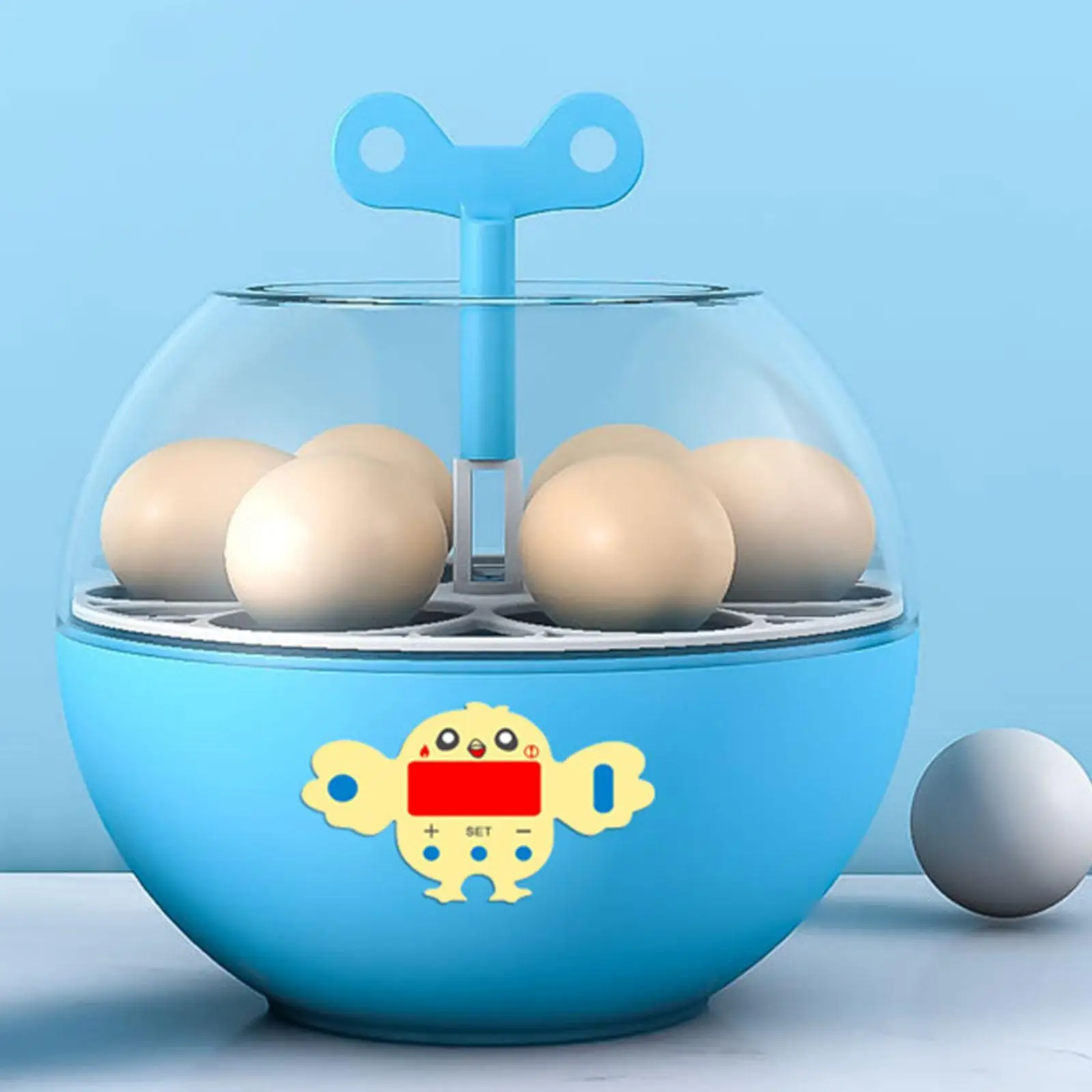 حاضنة بيض 6 بيضات تحكم مرئي في درجة الحرارة للاستخدام المنزلي حاضنة بيض رقمية لسمان أوزة دجاج تركيا بطة