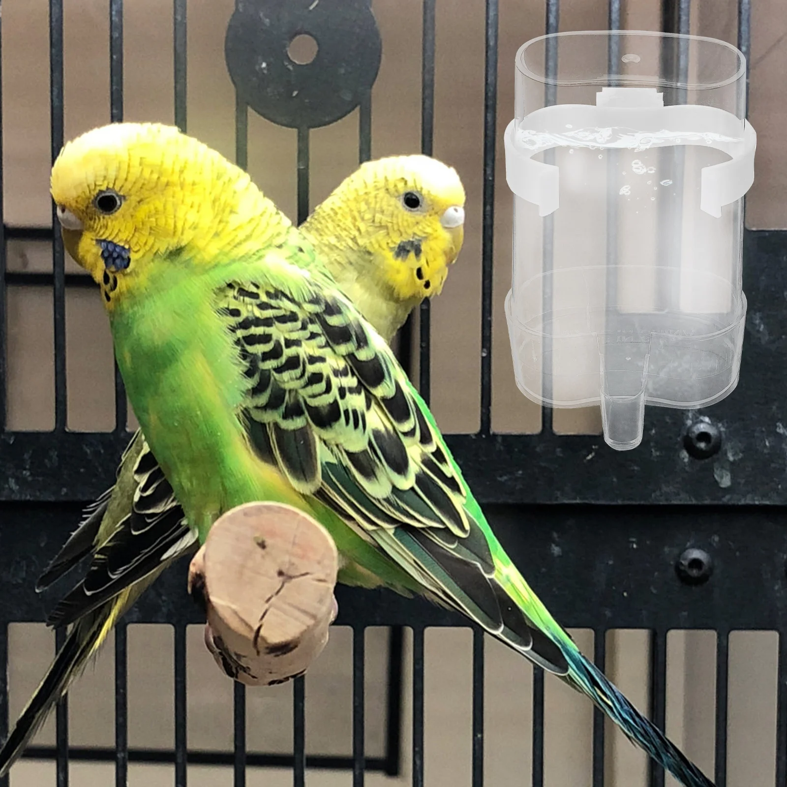 

NOLITOY 6pcs Bird Feeder Stand Automatic Water Dispenser for Parakeets Small Bird Cages Parrot Poultry Drinking System