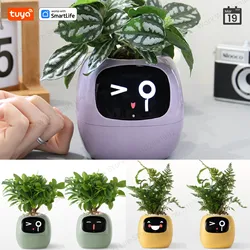 Inteligentna sadzarka z bluszczu Tuya, niekończąca się zabawa z 49 bogatymi wyrażeniami, 7 inteligentnymi czujnikami, chipy AI sprawiają, że hodowla roślin jest łatwa i przyjemna