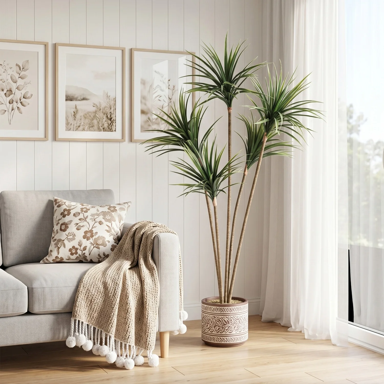 ต้นดรากีน่ามาร์จินาตาเทียมขนาด - Dracaena Marginata บทวิจารณ์และราคา