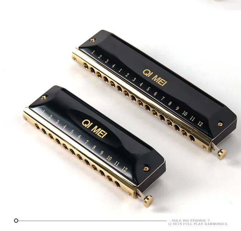 2026 Professional Musical Instrument Adult Beginner 12-hole Round Mouthpiece Chromatic Harmonica