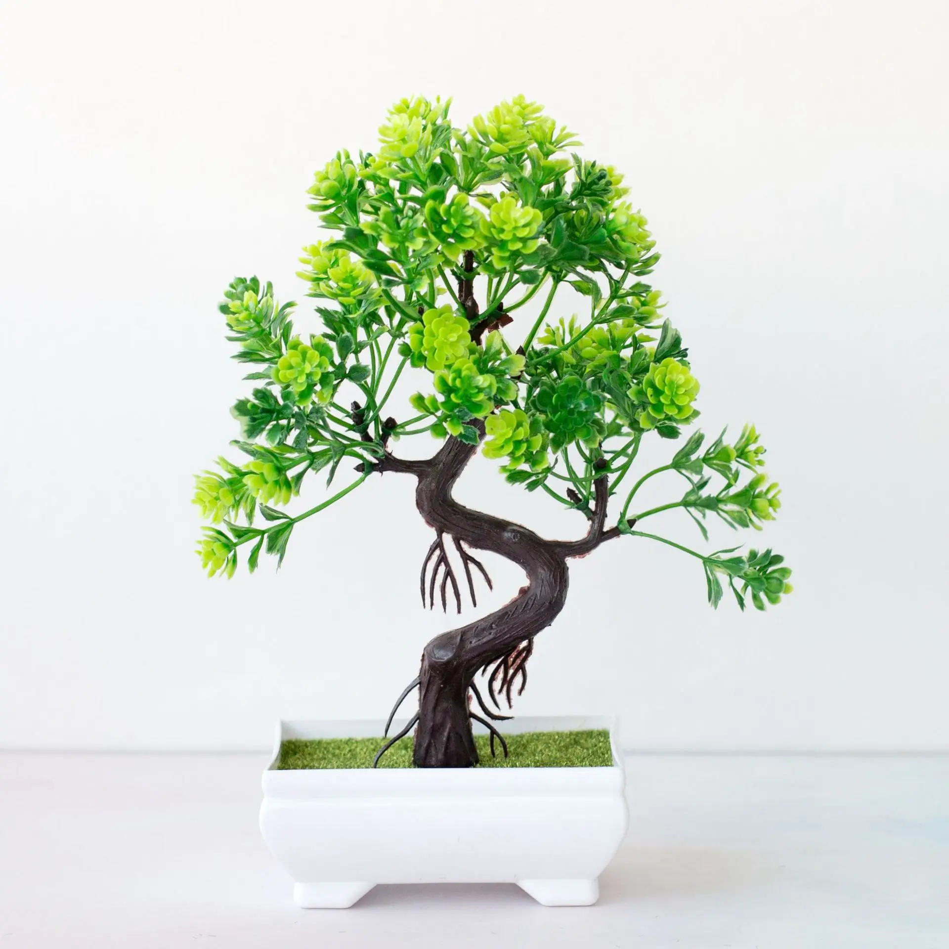 s bonsai Ficus Ginseng Bonsai S Type House Plant – Plants For All Seasons