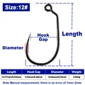 Size 12