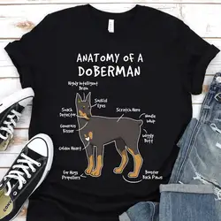 Anatomy of a Doberman, T-Shirt, Doberman Dog, Doberman TShirt, Doberman Shirt, Funny Dog Shirt, Cute Dog shirt, Dog Mama