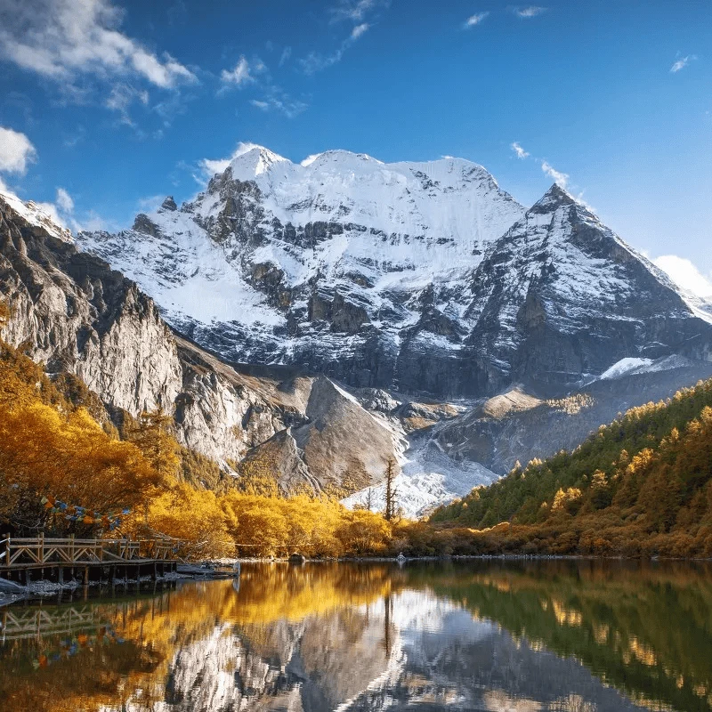 

Adjustable 5Pcs Sectional Front Spoiler Lip For Mercedes-Benz B Class W247 2019-2026 Front Bumper Splitter Sport Body Kit