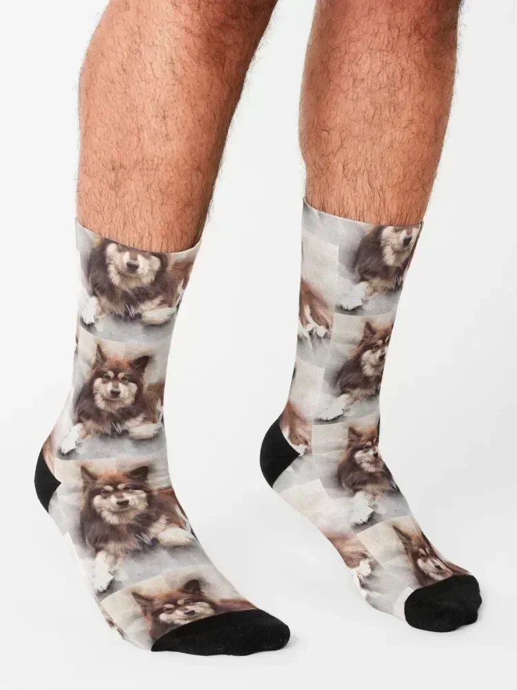 Finns from Lapland Socks Heating sock Wholesale shoes kids Men Socks Women's