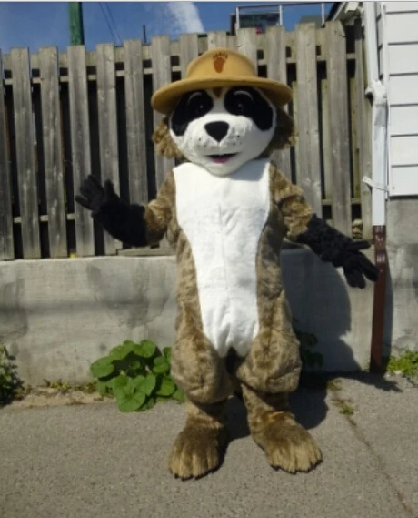 

ranger rick racoon mascot costume hot cartoon character racoon theme anime costumes carnival fancy dress 2427