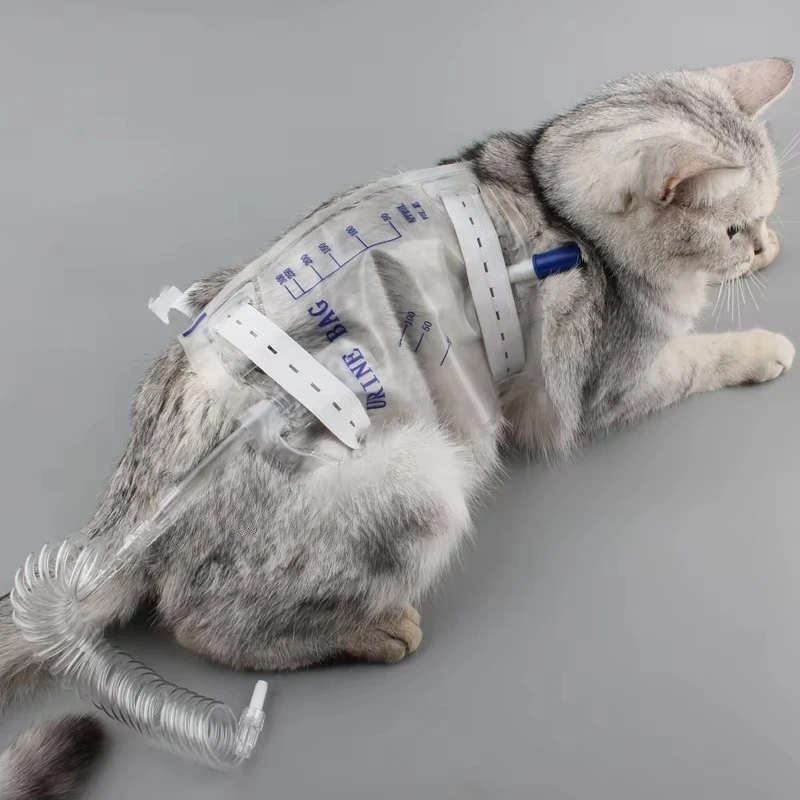 Vet Urine Drainage Bag Disposable 300 500ml Pet Animal Collection With Extension Tube
