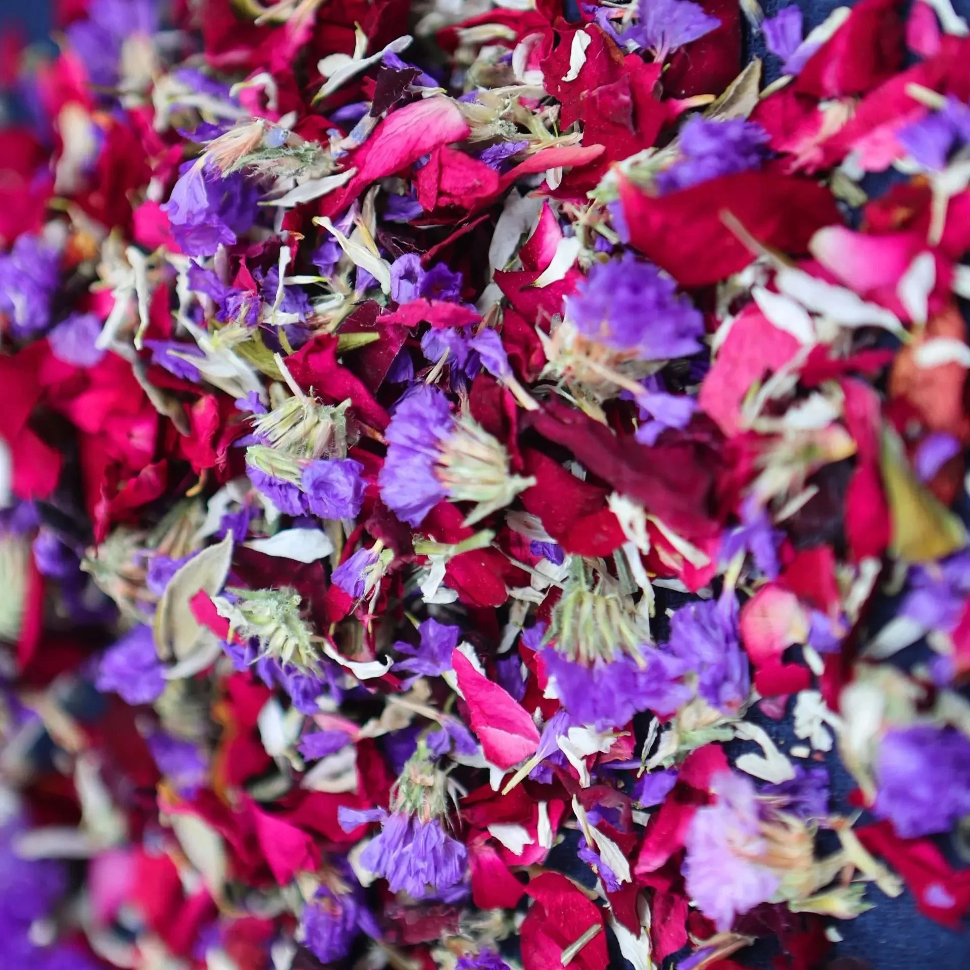 Thumbnail 4 - #17 Top Dried Flowers Picks for Every Budget