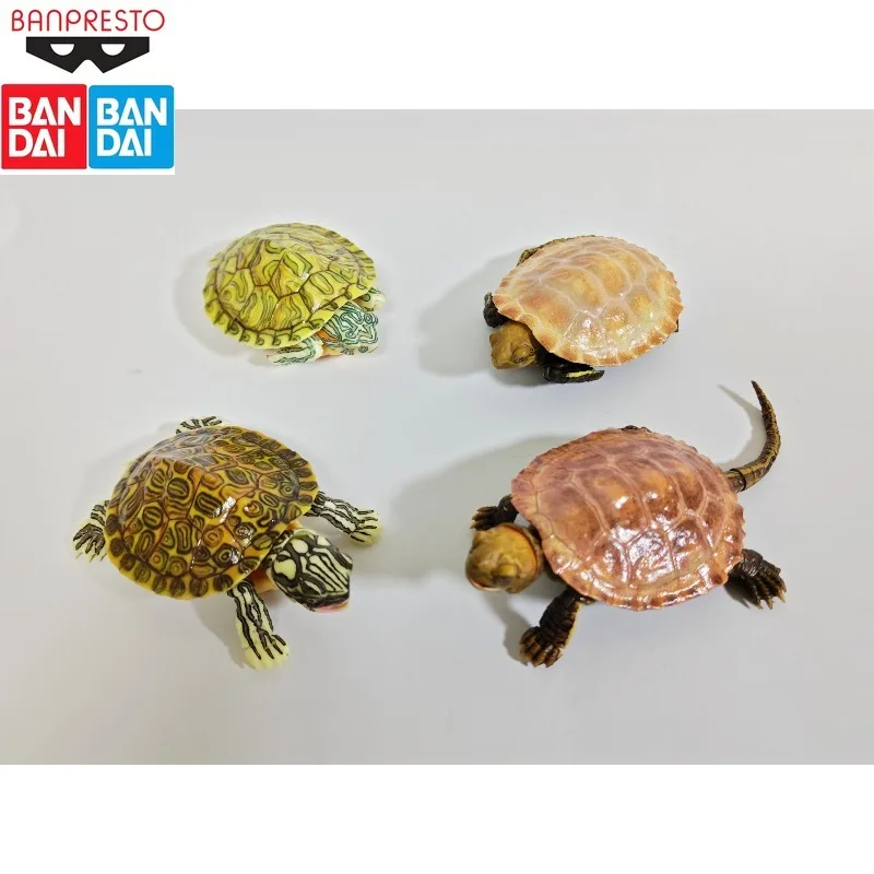 

В наличии BANDAI оригинальные биологические иллюстрации бразильские черепашки моделирование животных могут сделать фигурку коллекция моделей праздничные подарки