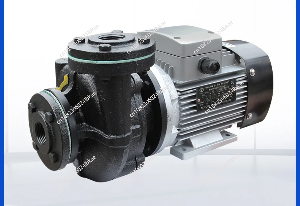 Hot Oil Pump Large Flow High Temperature Centrifugal Hot Oil Circulating Pump YS-35A