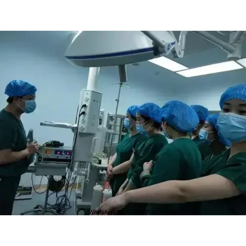 NP-2 Pe Dia Tric Ure thr oto me Cys Tosc Opy Set (Lockable) Ur Olo Gy Department Instruments