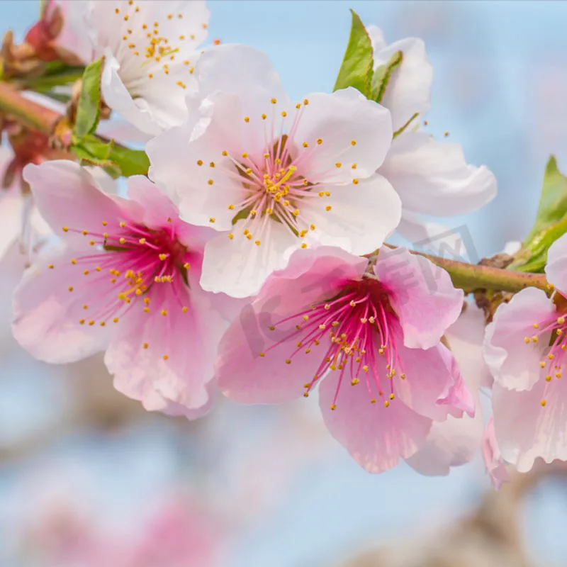 

Сервопривод Metal Gear JX PDI-HV1511MG 11 кг, высокоточный, с бесколлекторным двигателем, большой крутящий момент, для миниатюрных радиоуправляемых моделей: вертолетов, роботов, планеров, краулеров