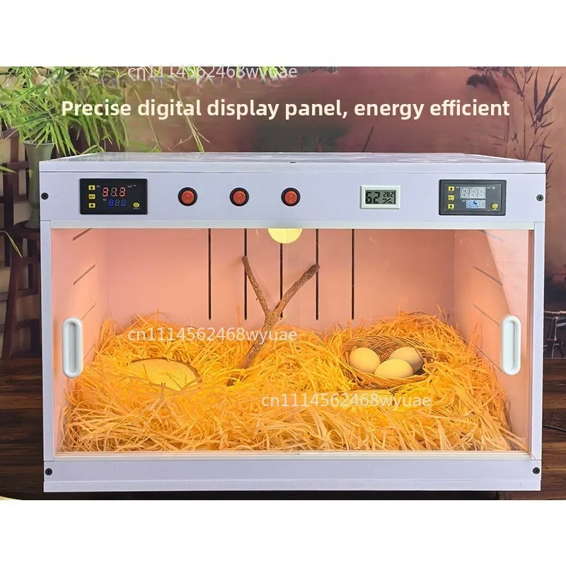 Thermostat Safe and Intelligent Waterproof Feeding Box Pvc Pet Incubator