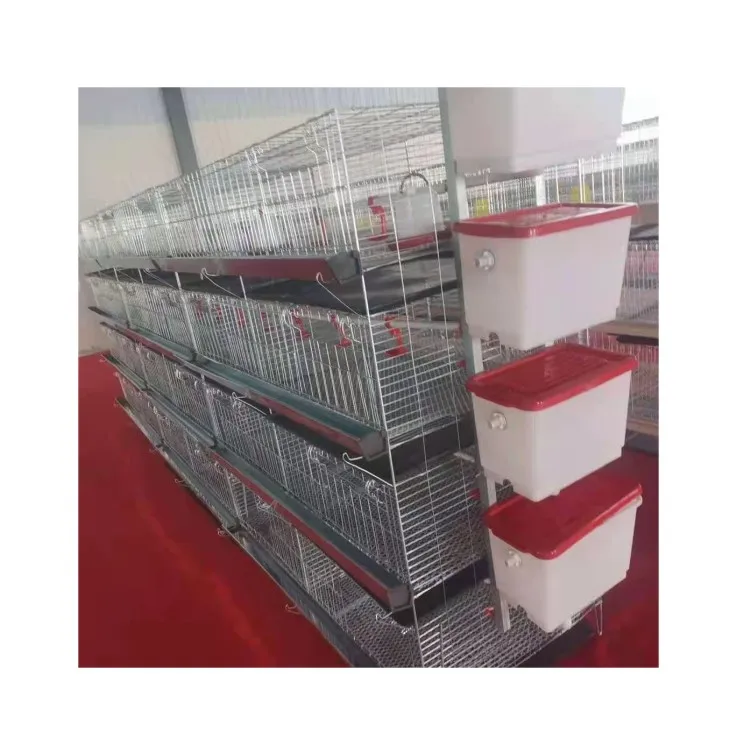 

Best Quality Good Price Egg Laying Hens Farming Chicken Layer Battery Cage for Sale a Type Broiler Cage
