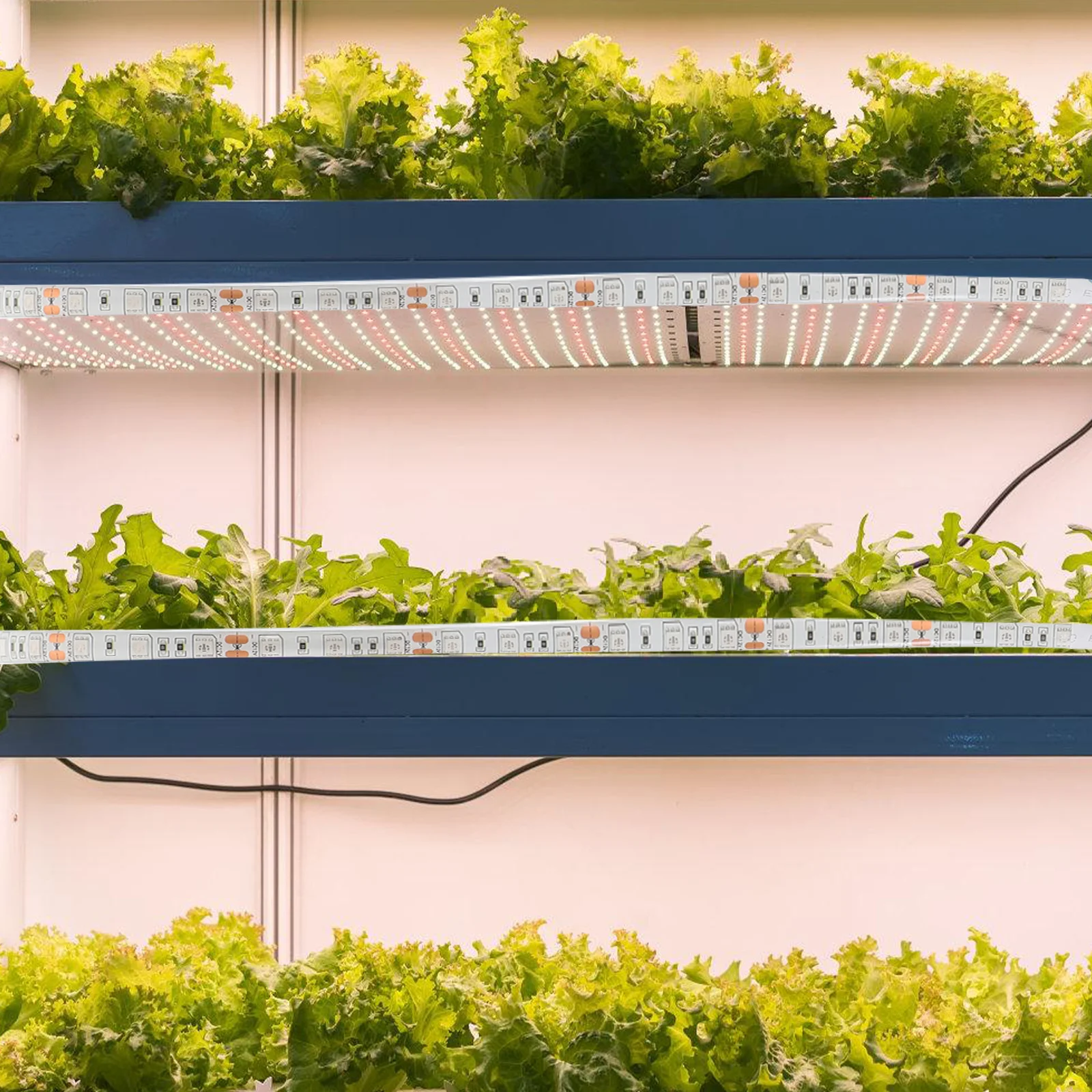 

300W Waterproof Flexible LED Plant Lamp Growth Strip for Garden Indoor Plants Veg Flowers LED Grow Lamp Hydroponic Greenhouse