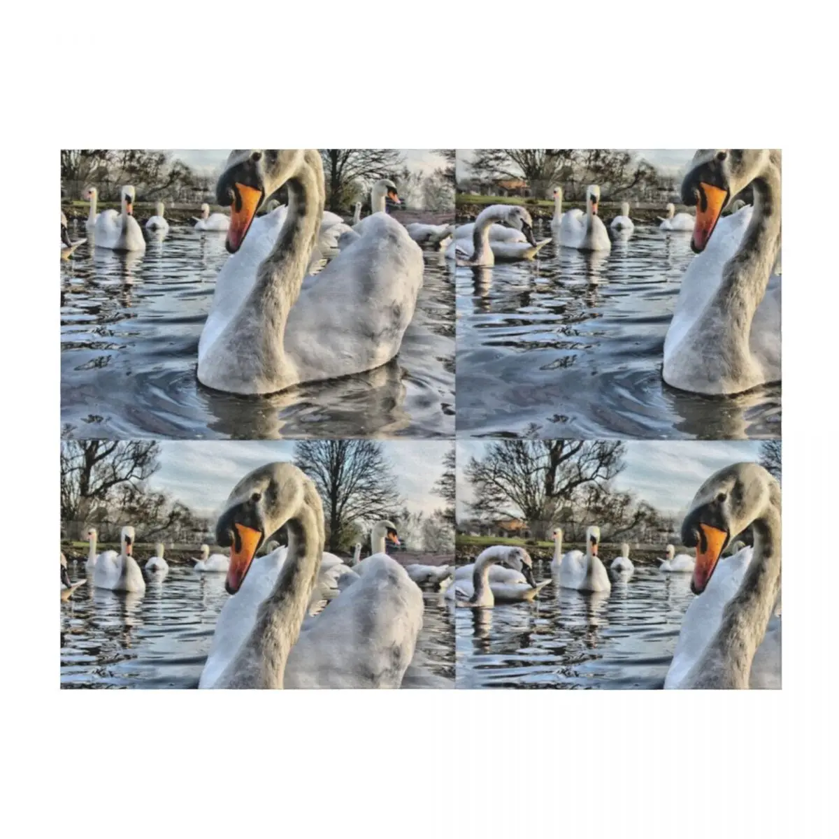 

Swans Slimbridge Gloucester Throw Blanket Cute Plaid blankets ands christmas decoration Soft Plaid Blankets