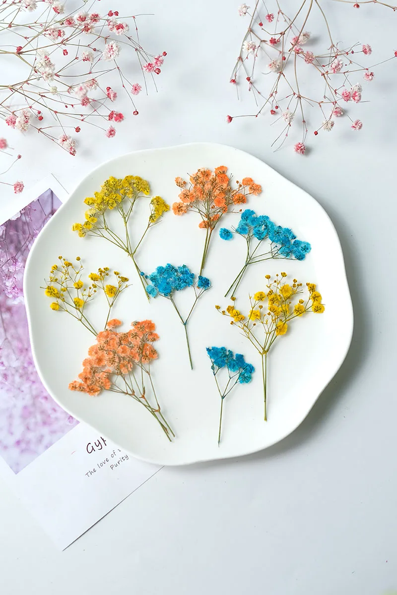 12pcs/5-8cm,New color pressed babysbreath dried flowers branches,DIY bookmarks table lamps nail art beauty cosmetics materials