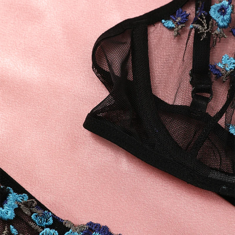 Transparent Embroidery New Heilan Lace Sexy Lingerie Women Underwear Fairy Brief Set Delicate Bra Kit Push Up Erotic Breves Sets
