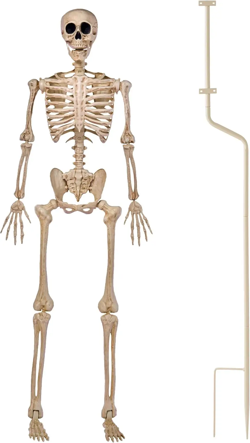 Giant Halloween Skeleton Decor with Stand, 5FT Life Size Posable Full Body, Realistic Bones & Movable Joints, Indoor Outdoor