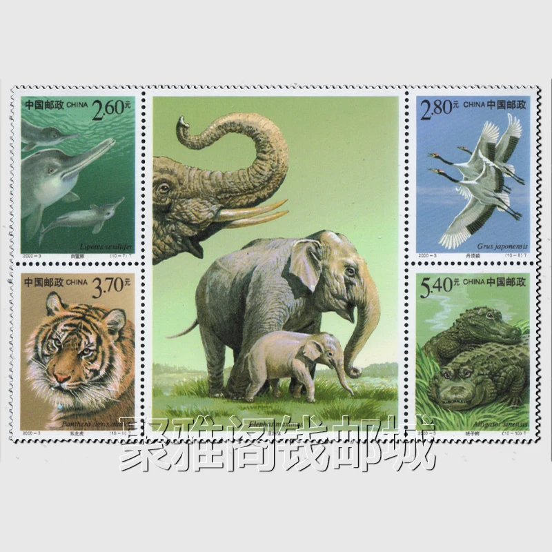 China Post National Protected Wildlife 28-Briefmarken-Porto-Komplettset Neues Sammler-Postmarkenmaterial für Scrapbooking – Detail 2