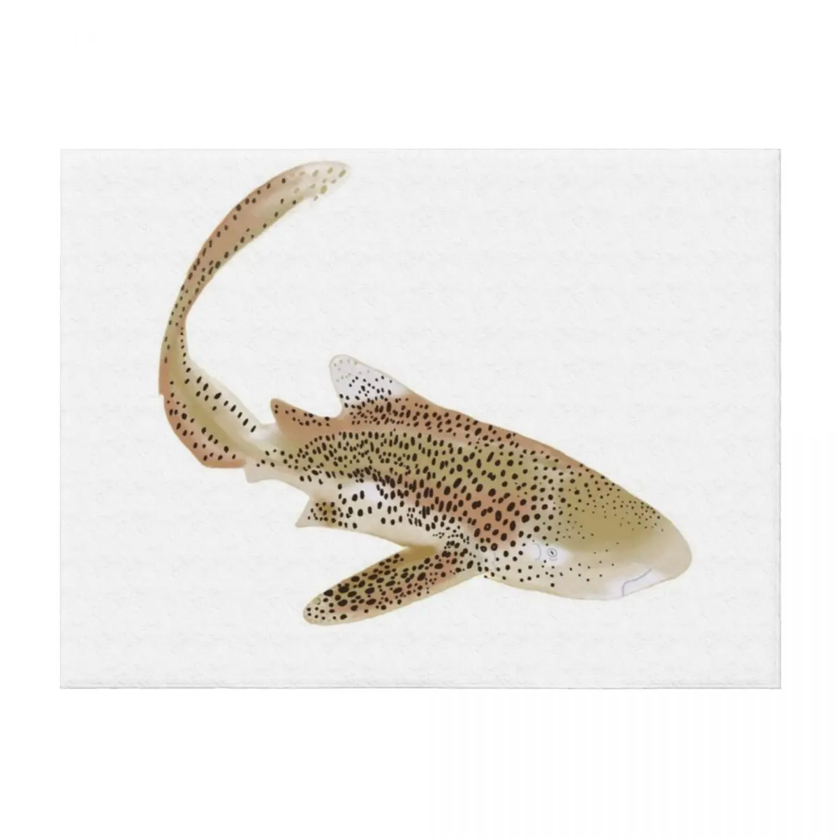 

Leopard Shark Throw Blanket Shaggy halloween Decorative Throw Large Blankets