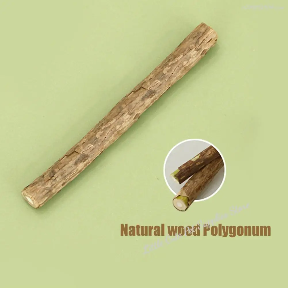 القط دعابة لعبة تدريب كيتي لعبة التسنين البصل الأخضر على شكل القط مضغ لعبة للتسنين الإغاثة التدريب لينة ورأى الحيوانات الأليفة ل كيتي #3