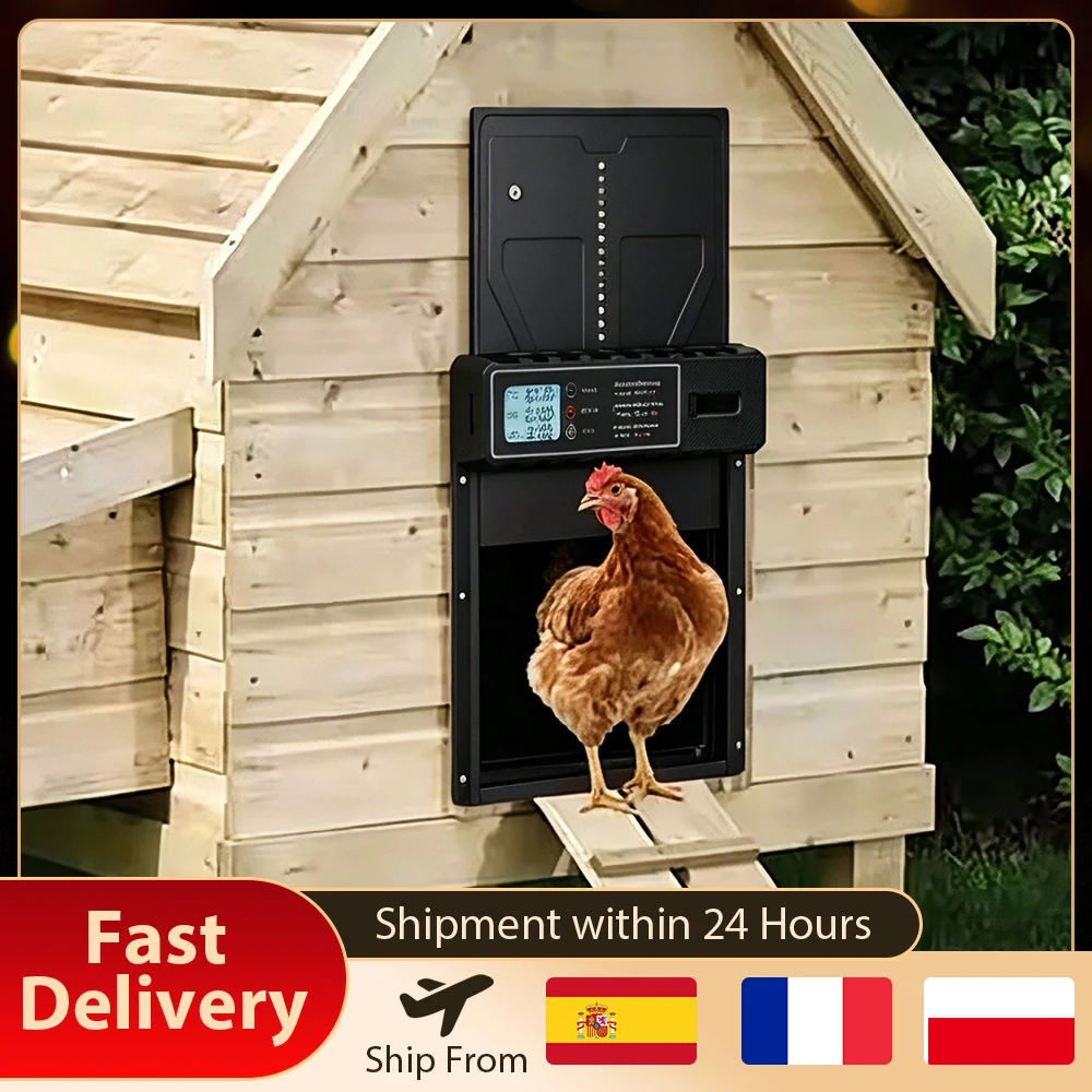 Porte automatique en aluminium pour poulailler avec grand écran étanche, minuterie électrique, protection anti-pincement intelligente, alimentée par batterie, outil de gestion agricole pour poulets et