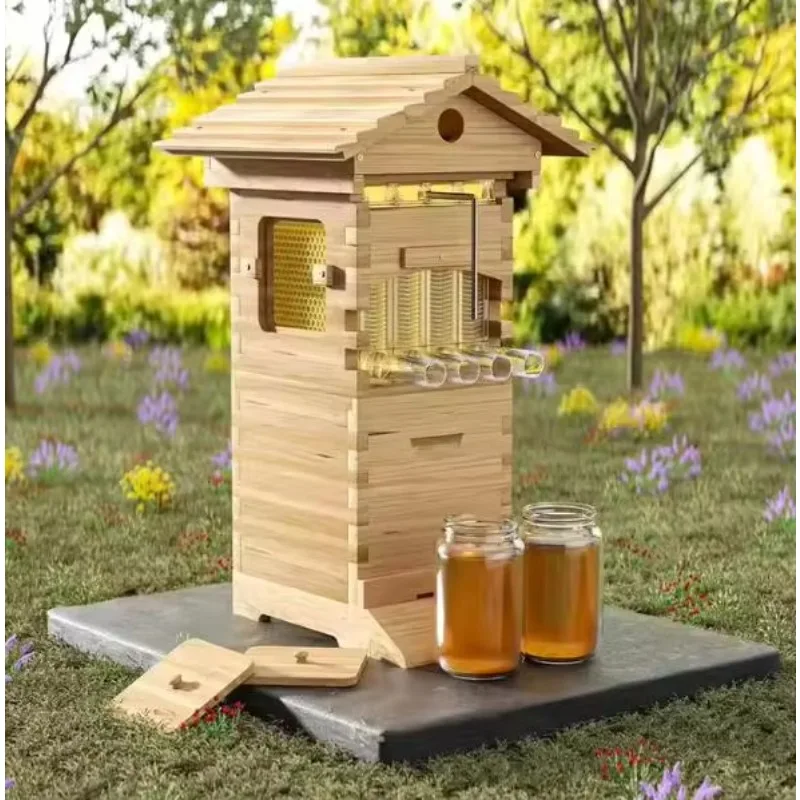 10X Frames MINi Beehive Bee House Auto Honey Full Set Brood Box Super Box Frame US Stock