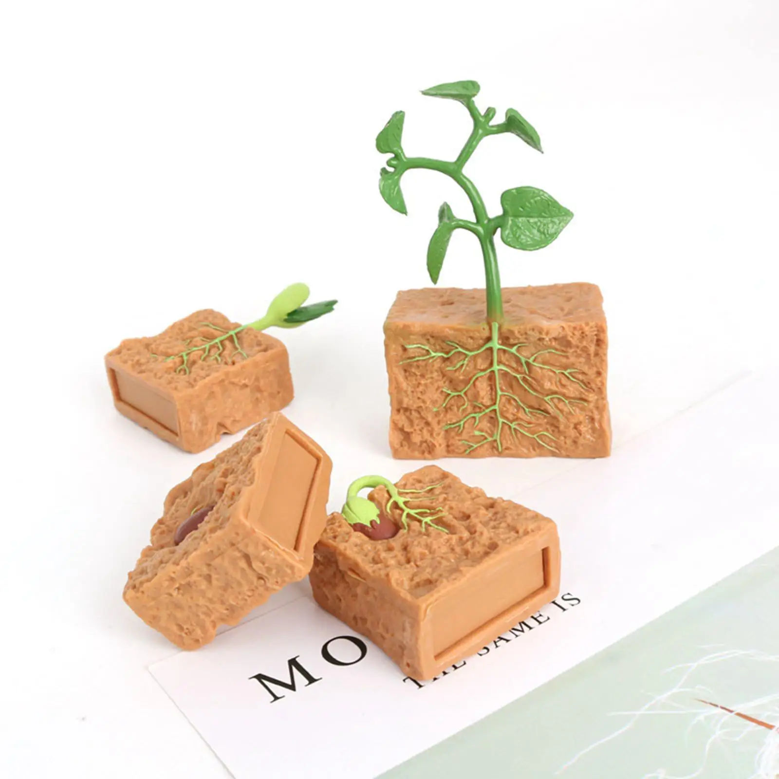 SubKRà vie de plante de haricot vert, jouet de développement de plante de ferme, cadeau Montessori