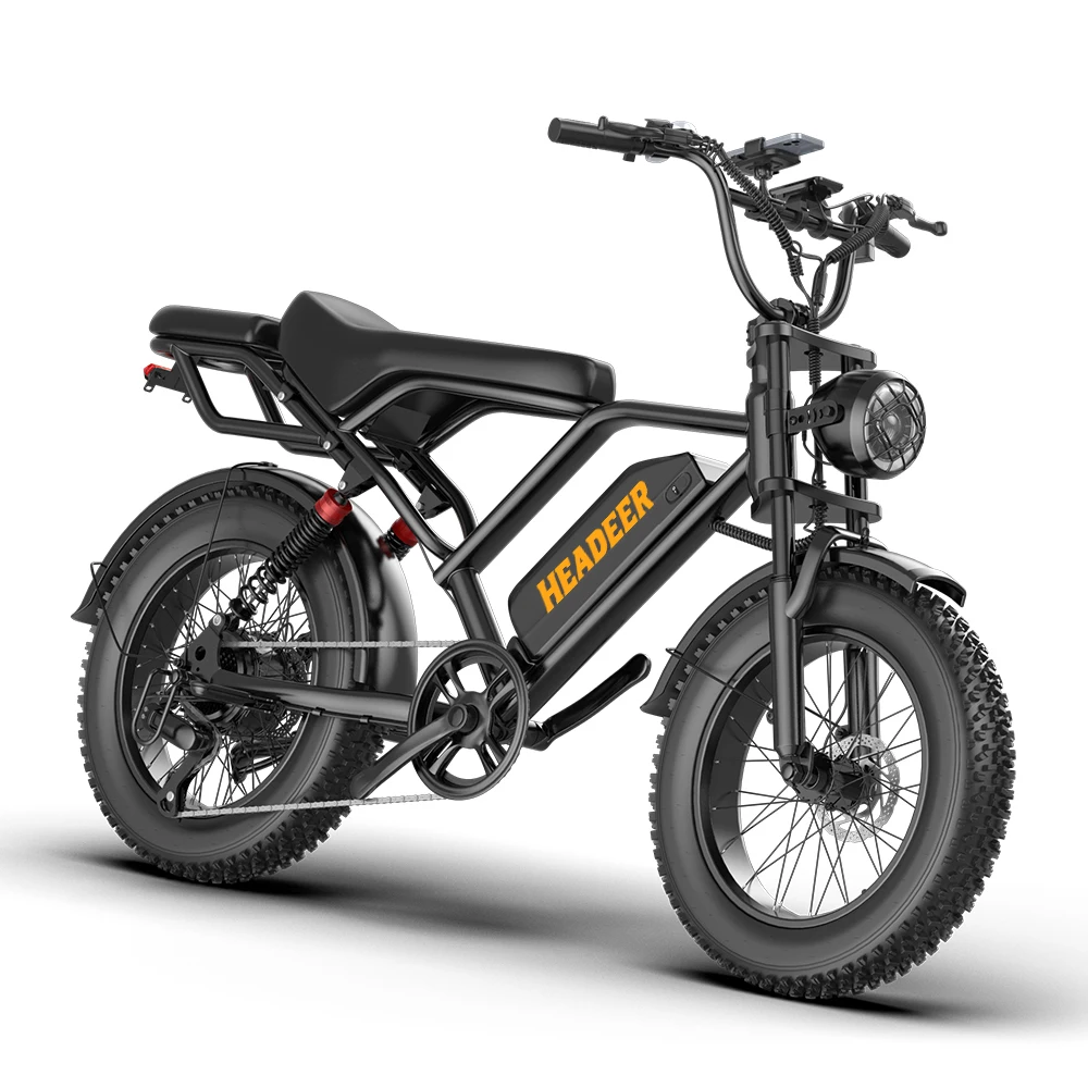 Image of Elektrofahrrad Head BK20, breite 20-Zoll-Reifen, 250W Motor, 48V 20Ah Akku, Doppelscheibenbremsen, LCD, Höchstgeschwindigkeit 50 km/h