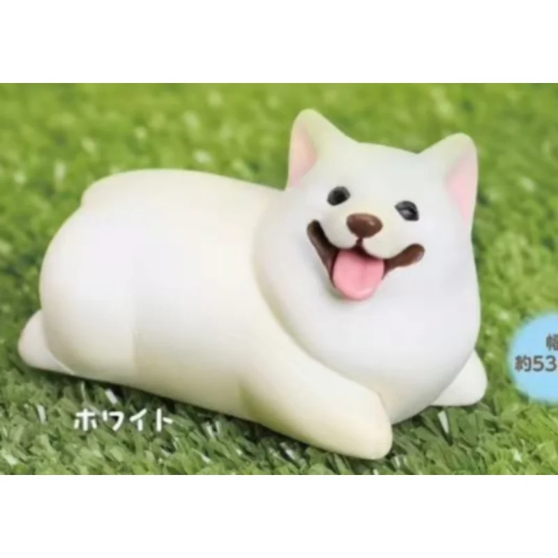 일본 Stasto Gashapon 캡슐 장난감 No Willing Home Short Legs Corgi 강아지 장식 귀여운