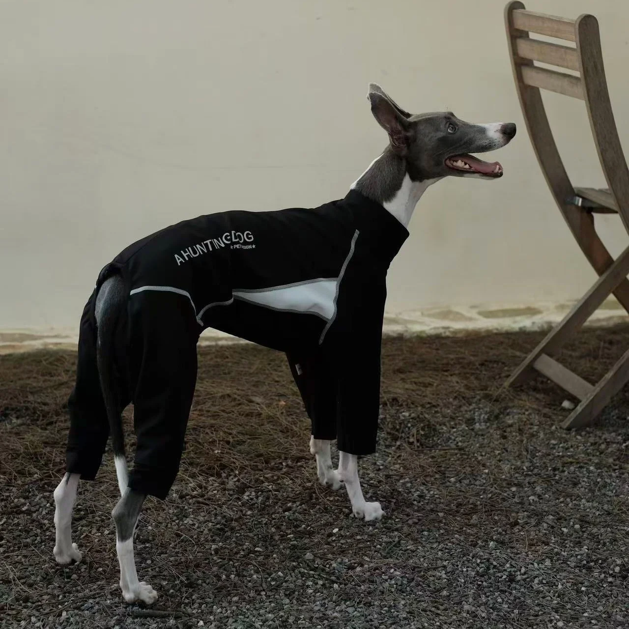 Winter Softshell Jumpsuit voor Honden met Vier Poten, Winddicht, Waterdicht, Fleece Gevoerd, Warme Sneeuwpak voor Whippet en Italiaanse Windhond