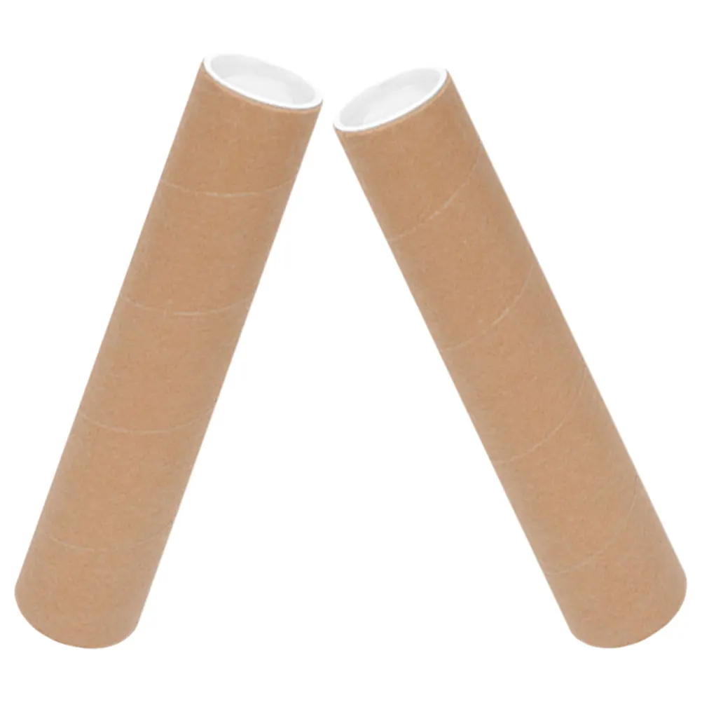 2Pcs Robust Paper Drawing Mailing Tube Caps Heavy Duty Tube for Storing and Shipping Posters Artwork Prints