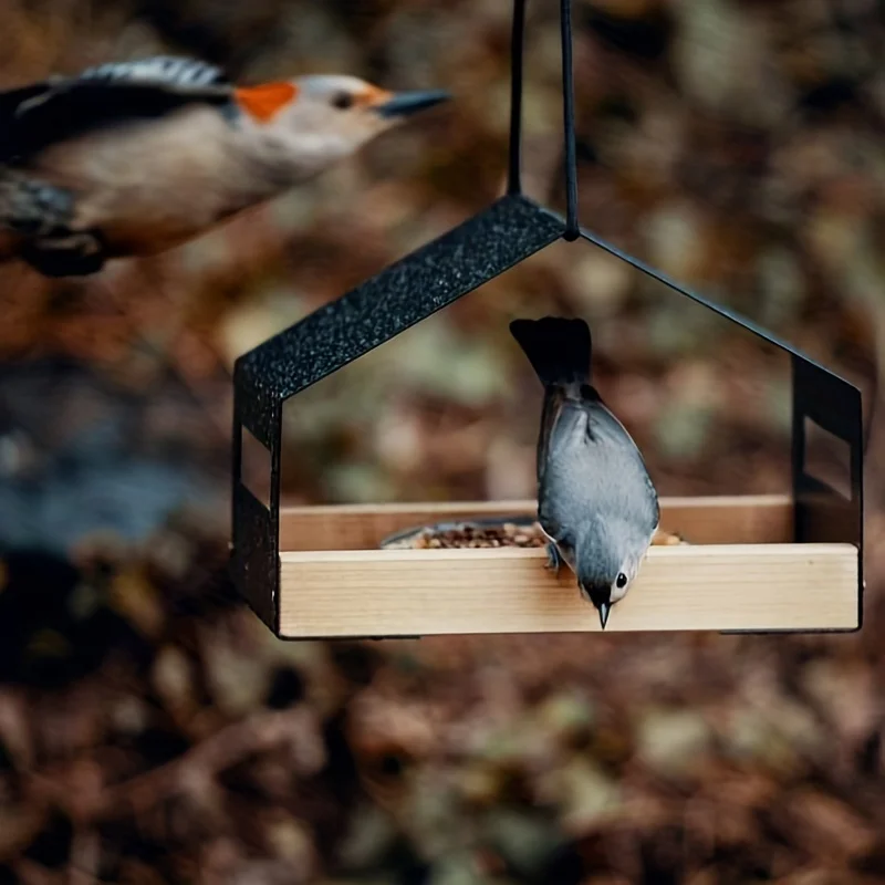 1 unidad de jardinería al aire libre, casa de Metal, comedero moderno para pájaros, decoración de jardín, comedero para colibríes, casa para pájaros colgante