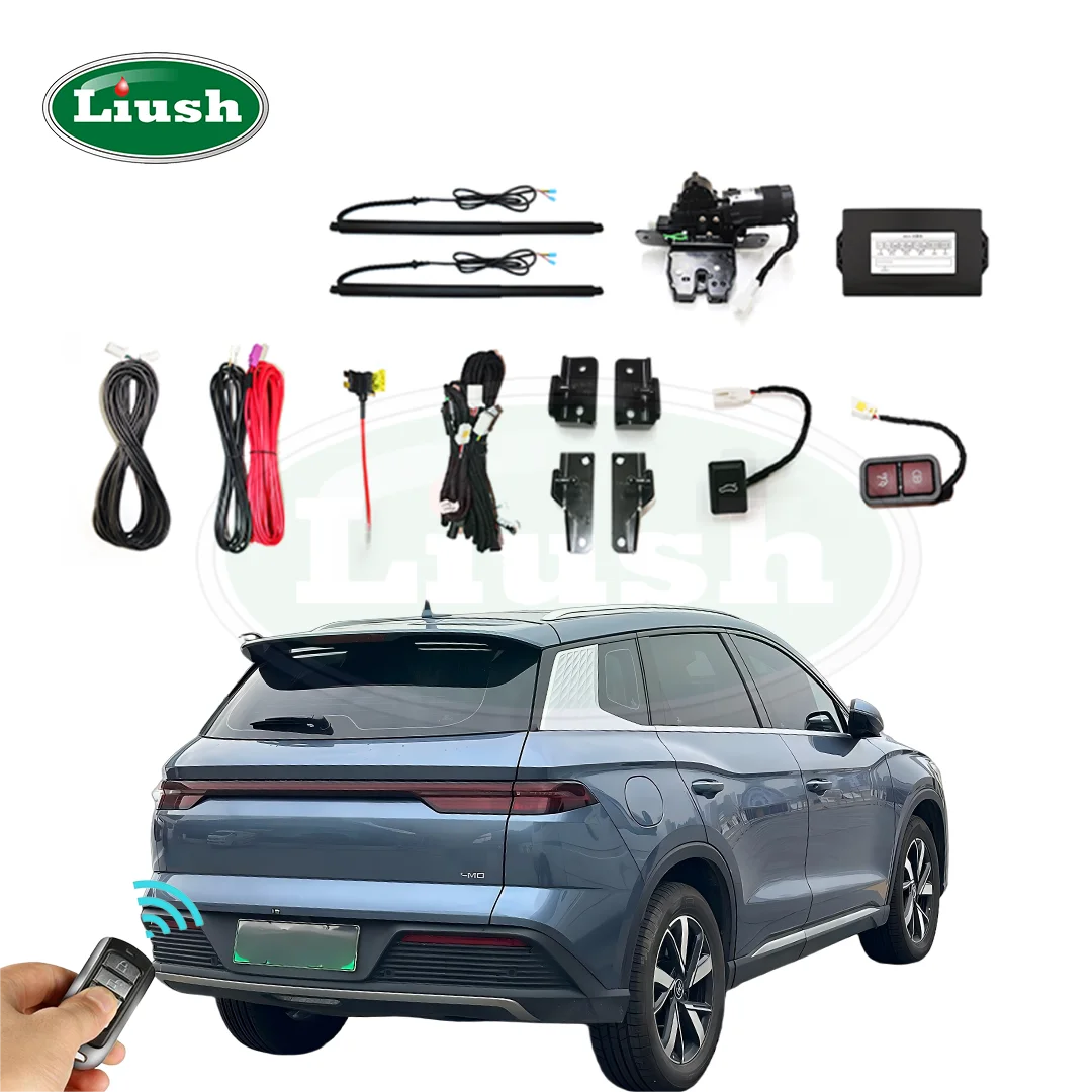 Auto Power Trunk Door Kit Remote Control Shock Absorvers Retrofit For BYD Song Pro SUV Electric Tailgate Lift For Sealion 5 DM-i