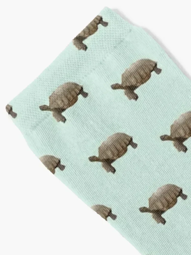 Sulcata Tortoise (side view) Socks funny gift winter cool christmas stocking Mens Socks Women's