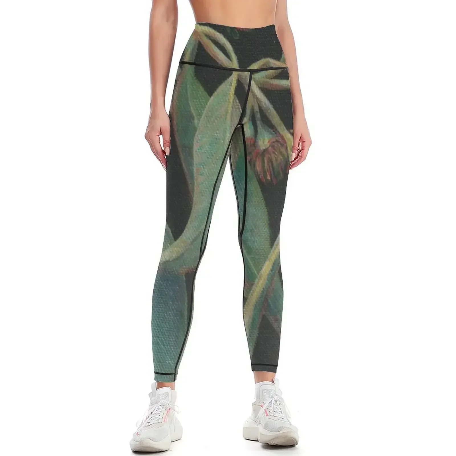 

Stunning Australian Flora 1 Leggings gym womans sports for gym Sports pants woman Women sports Womens Leggings