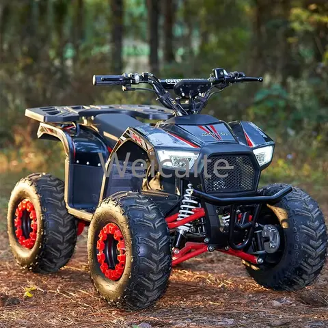 ATV da corsa sportivo per quad elettrico con trasmissione ad asse nuovo da 1500 W 48 V per bambini con CE