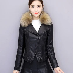 2023 Autumn Winter New Raccoon Fur Collar Plus Cotton Simple Leisure Leather Jacket Coatshort Thick Thin Washed Coat Women